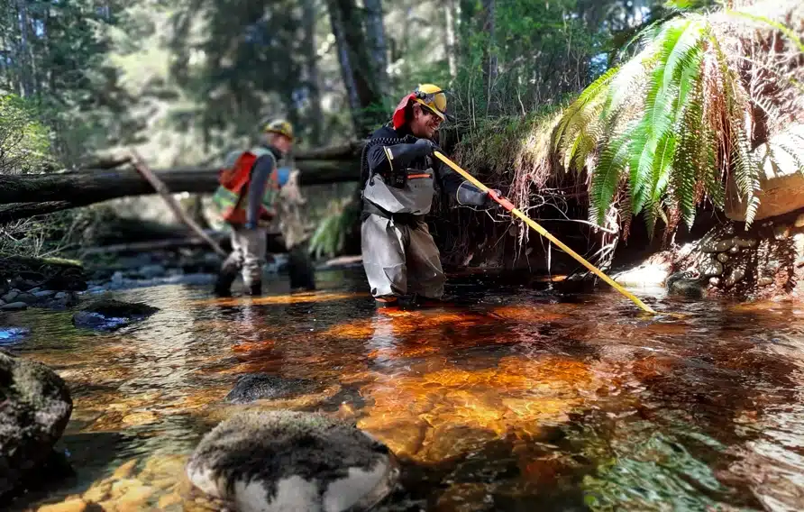 creek-home-strategic-natural-resource-group Two men wearing waders standing in knee deep water in a shadowy forest