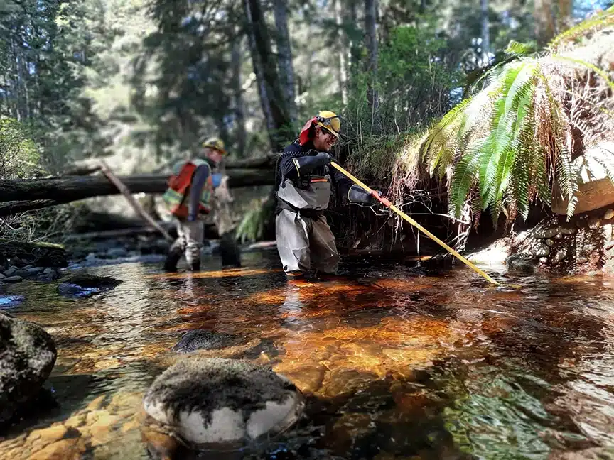 strategic-natural-resource-group-creek Two workers wearing waders standing in knee deep water in a shadowy forest