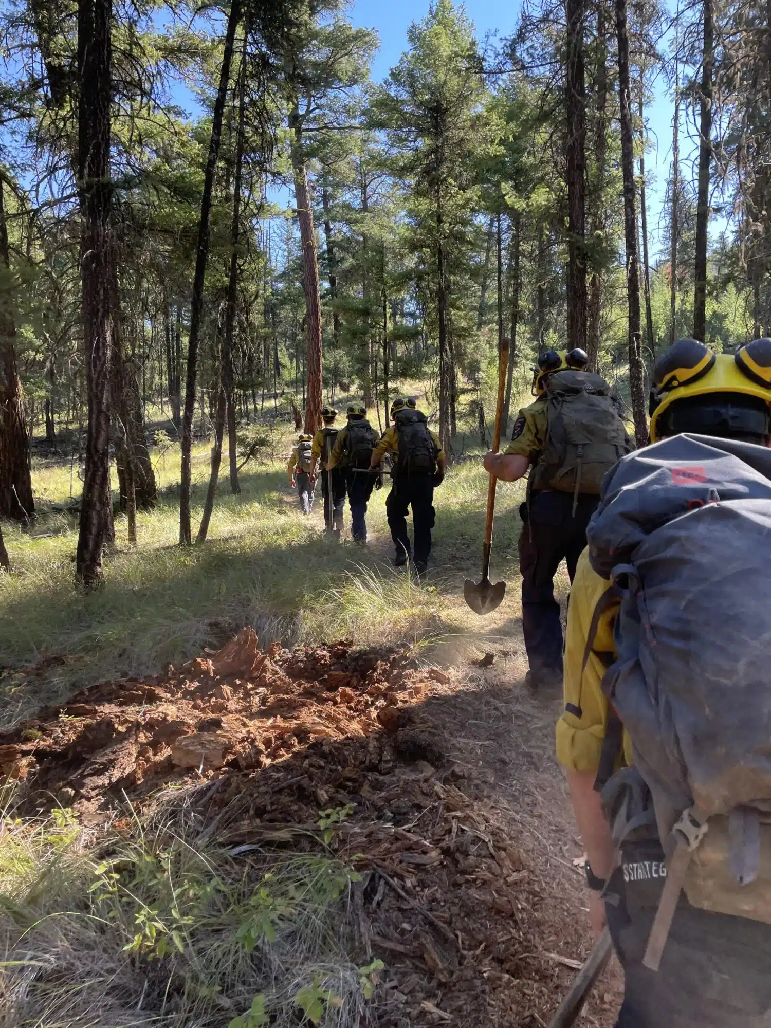 Wildfire fighters wearing hardhats walk through the forest