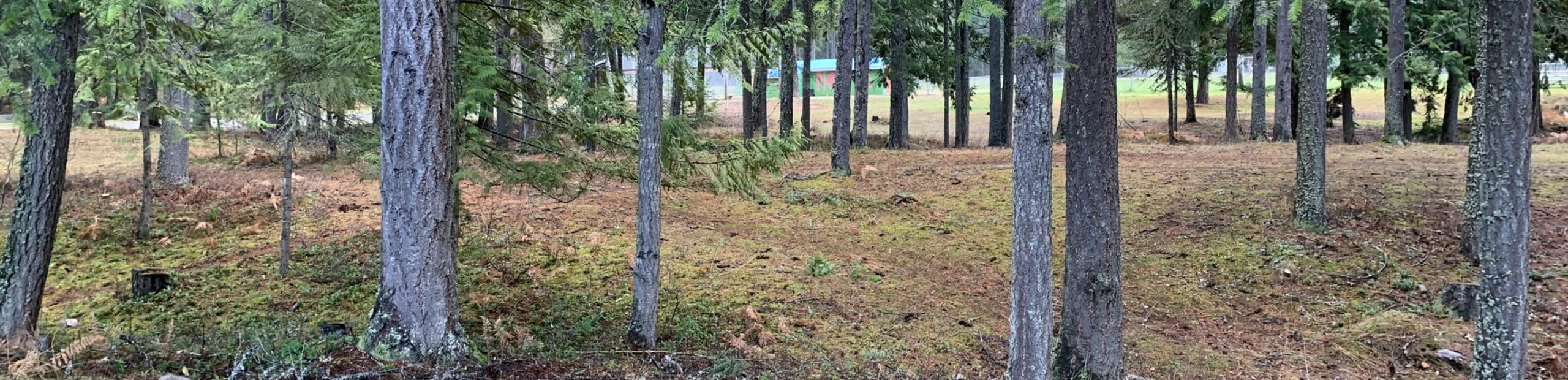 Wildfire risk reduction