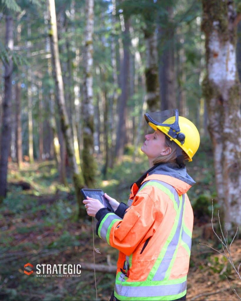 Wildfire Resiliency and Preparedness - Experience That Makes a Difference, Strategic Natural Resource Group (Strategic)