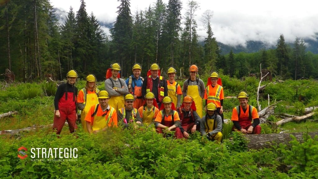 Wildfire Resiliency and Preparedness - Experience That Makes a Difference, Strategic Natural Resource Group (Strategic)