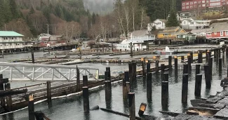 telegraph-cove